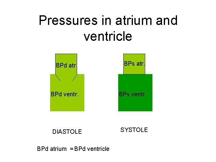 Pressures in atrium and ventricle BPd atr. BPs atr. BPd ventr. BPs ventr. DIASTOLE