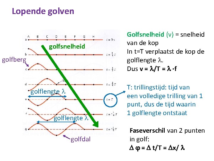 Lopende golven golfsnelheid golfberg golflengte golfdal Golfsnelheid (v) = snelheid van de kop In