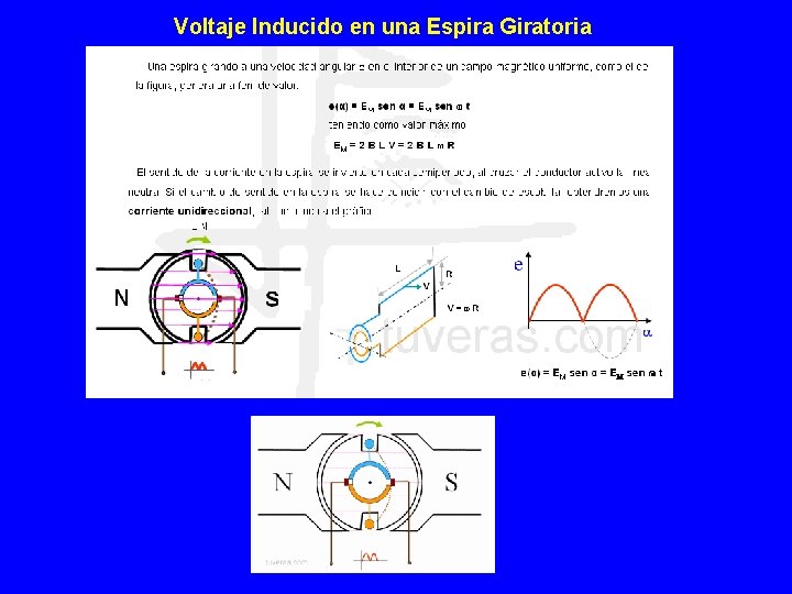 Voltaje Inducido en una Espira Giratoria 