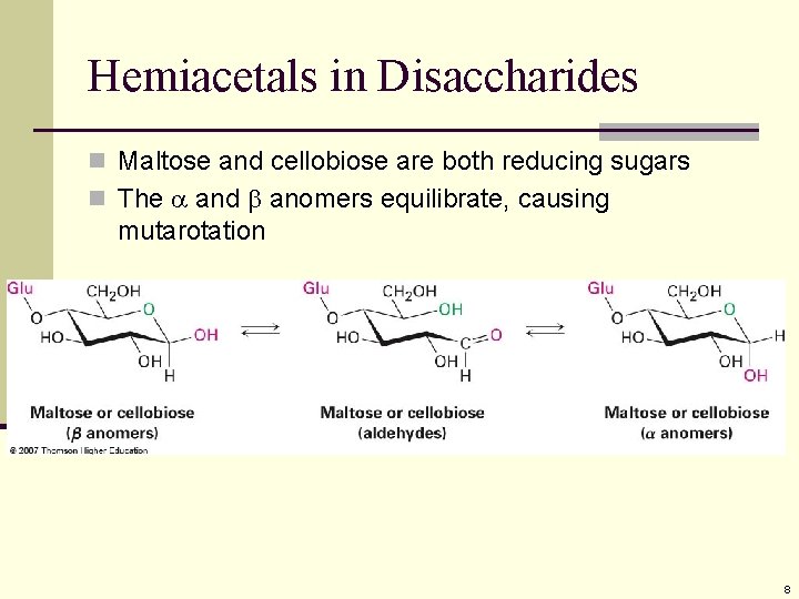 Hemiacetals in Disaccharides n Maltose and cellobiose are both reducing sugars n The and Hemiacetals in Disaccharides n Maltose and cellobiose are both reducing sugars n The and