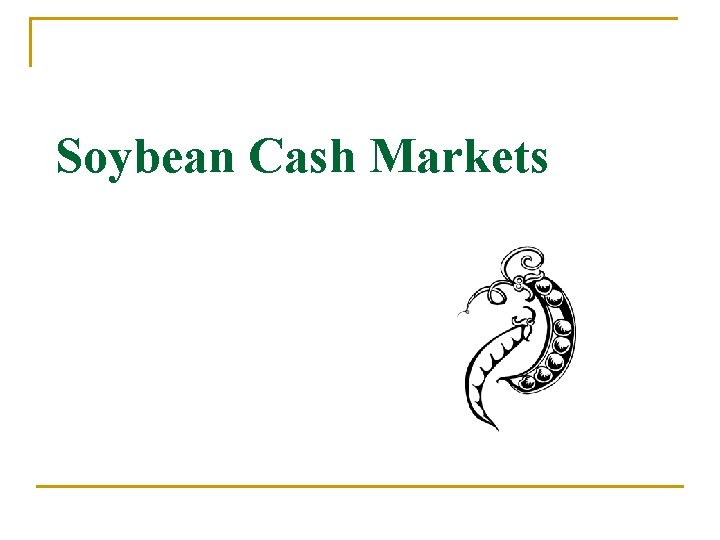 Soybean Cash Markets 