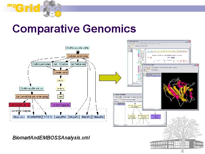 Comparative Genomics Biomart. And. EMBOSSAnalysis. xml 