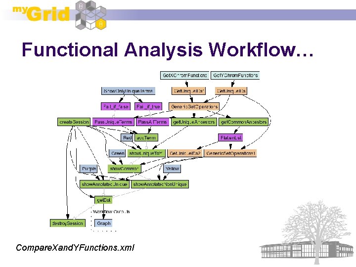 Functional Analysis Workflow… Compare. Xand. YFunctions. xml 