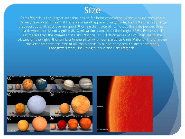 Size Canis Majoris is the largest star that has so far been discovered. When