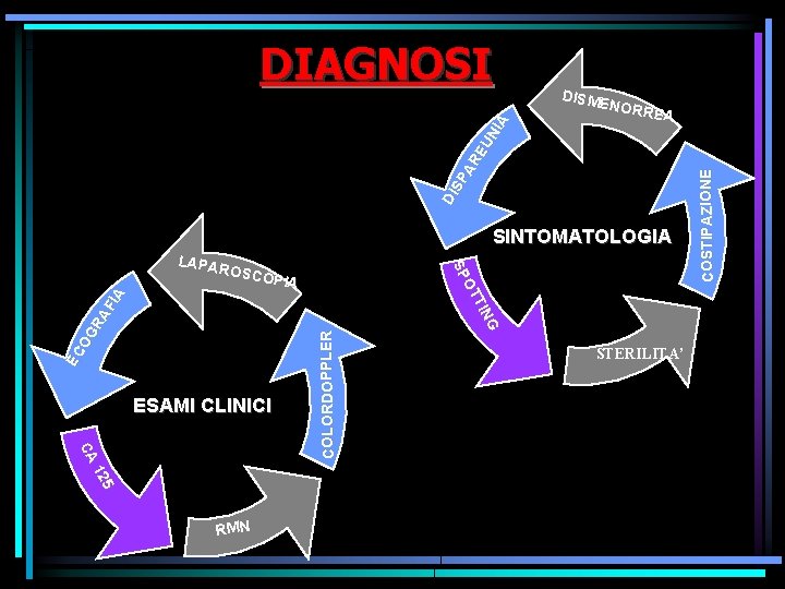 DISME NORR EA SINTOMATOLOGIA 5 12 CA RMN COLORDOPPLER EC OG RA FIA ESAMI DISME NORR EA SINTOMATOLOGIA 5 12 CA RMN COLORDOPPLER EC OG RA FIA ESAMI
