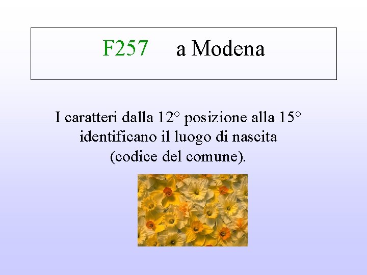 F 257 a Modena I caratteri dalla 12° posizione alla 15° identificano il luogo