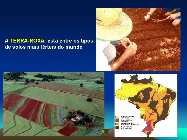 A TERRA-ROXA está entre os tipos de solos mais férteis do mundo 