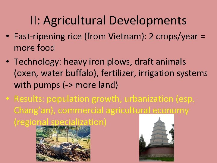 II: Agricultural Developments • Fast-ripening rice (from Vietnam): 2 crops/year = more food •