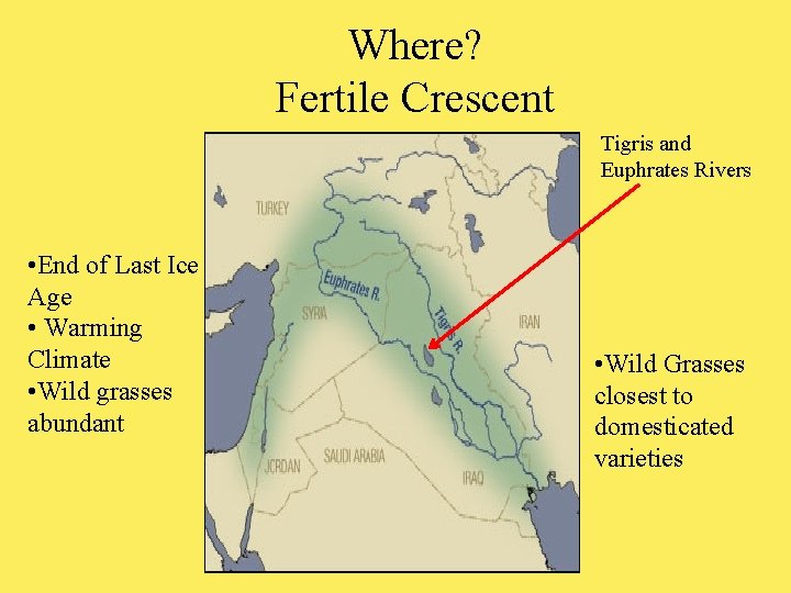 Where? Fertile Crescent Tigris and Euphrates Rivers • End of Last Ice Age •