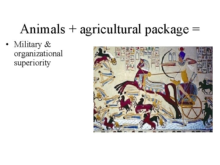 Animals + agricultural package = • Military & organizational superiority 
