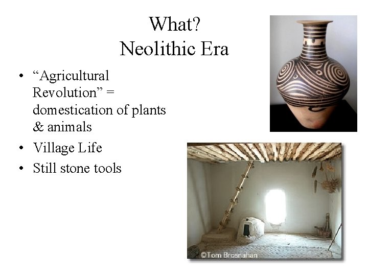 What? Neolithic Era • “Agricultural Revolution” = domestication of plants & animals • Village