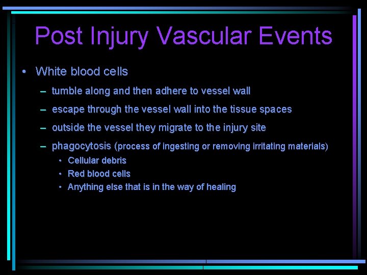 Post Injury Vascular Events • White blood cells – tumble along and then adhere