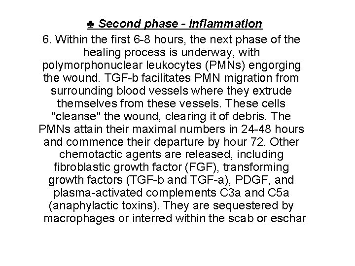 ♣ Second phase - Inflammation 6. Within the first 6 -8 hours, the next