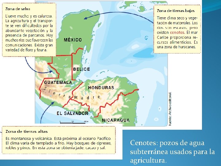 Cenotes: pozos de agua subterránea usados para la agricultura. 