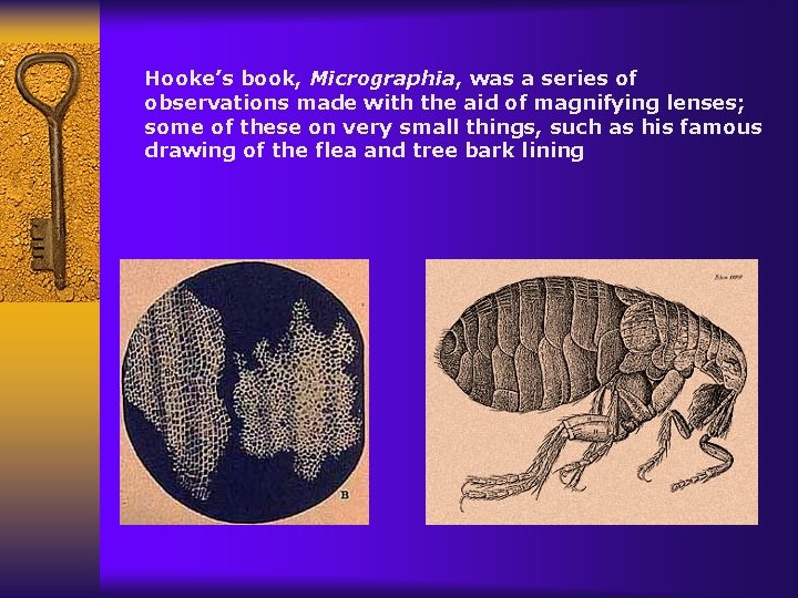 Hooke’s book, Micrographia, was a series of observations made with the aid of magnifying