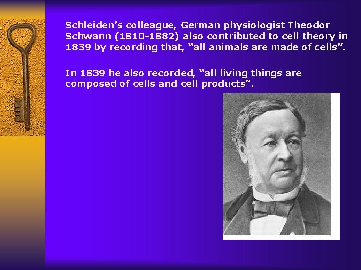 Schleiden’s colleague, German physiologist Theodor Schwann (1810 -1882) also contributed to cell theory in