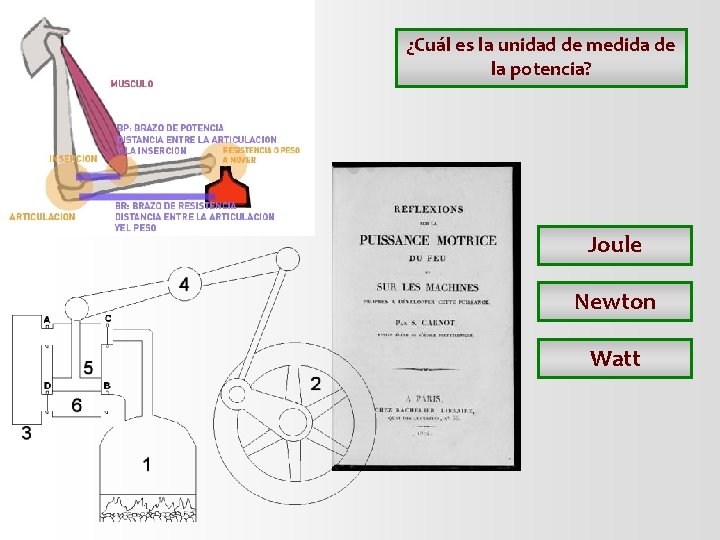 ¿Cuál es la unidad de medida de la potencia? Joule Newton Watt ¿Cuál es la unidad de medida de la potencia? Joule Newton Watt