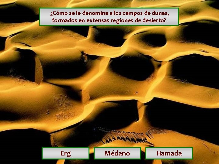 ¿Cómo se le denomina a los campos de dunas, formados en extensas regiones ¿Cómo se le denomina a los campos de dunas, formados en extensas regiones
