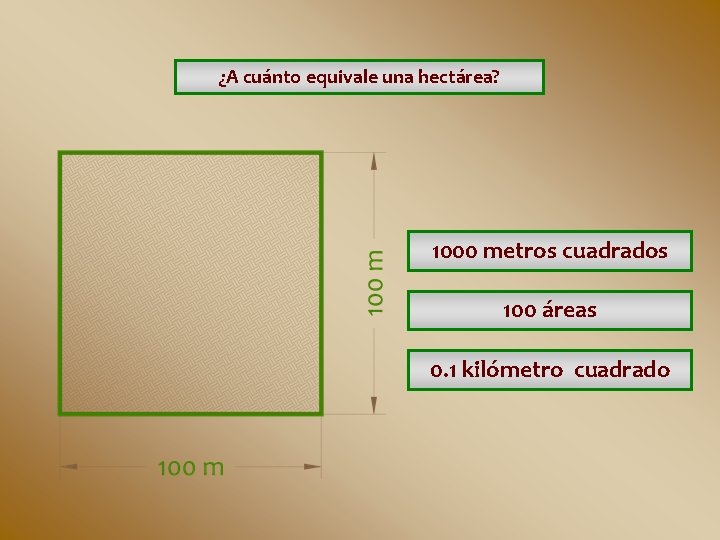 ¿A cuánto equivale una hectárea? 1000 metros cuadrados 100 áreas 0. 1 kilómetro cuadrado ¿A cuánto equivale una hectárea? 1000 metros cuadrados 100 áreas 0. 1 kilómetro cuadrado