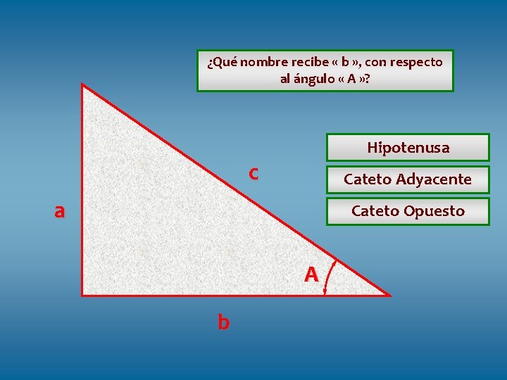 ¿Qué nombre recibe « b » , con respecto al ángulo « A » ¿Qué nombre recibe « b » , con respecto al ángulo « A »