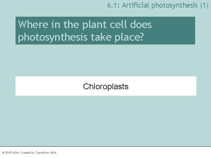 6. 1: Artificial photosynthesis (1) Where in the plant cell does photosynthesis take place?