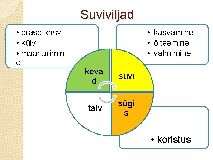 Suviviljad • orase kasv • külv • maaharimin e • kasvamine • õitsemine •