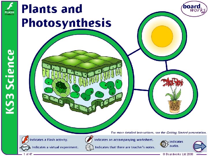 Plants and photosynthesis 1 of 47 © Boardworks Ltd 2008 