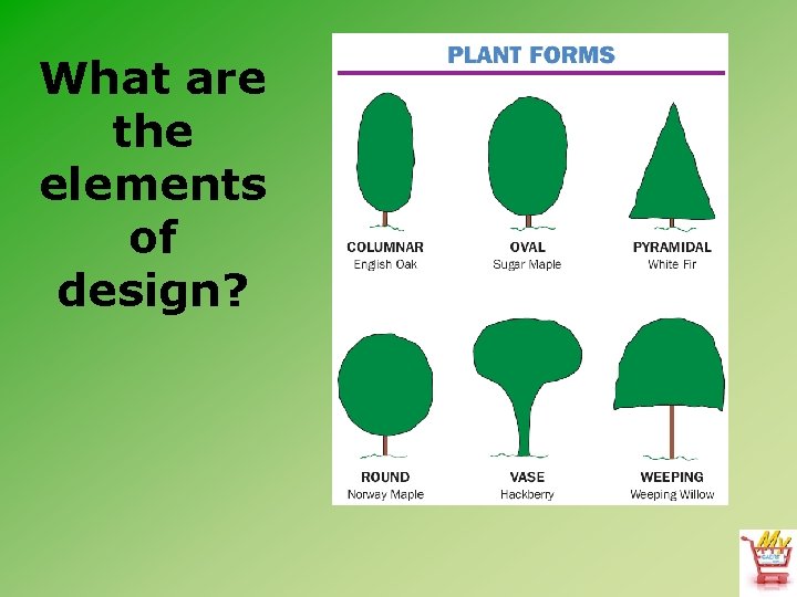 What are the elements of design? 