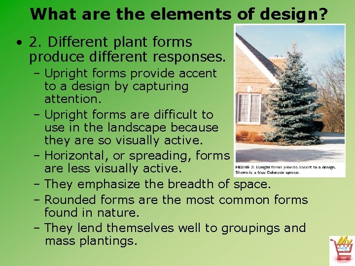 What are the elements of design? • 2. Different plant forms produce different responses.