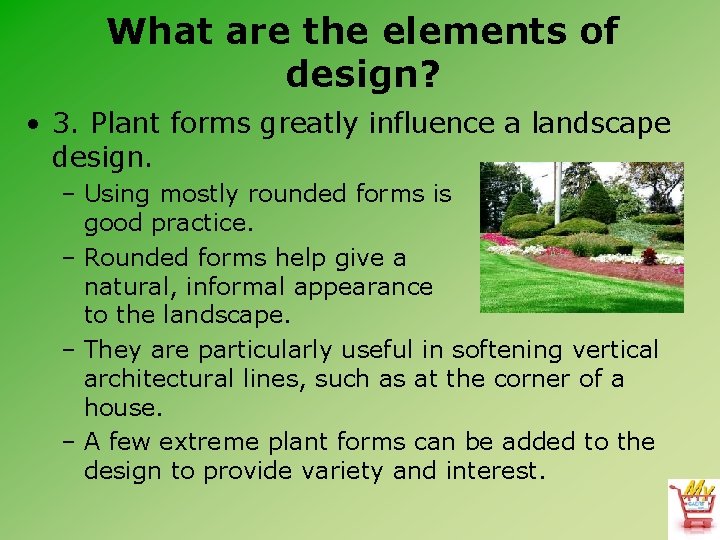 What are the elements of design? • 3. Plant forms greatly influence a landscape