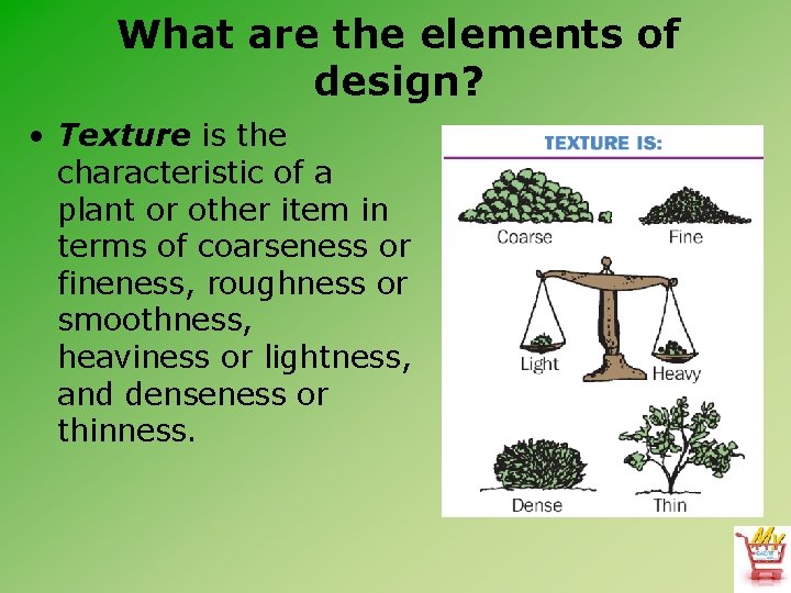 What are the elements of design? • Texture is the characteristic of a plant