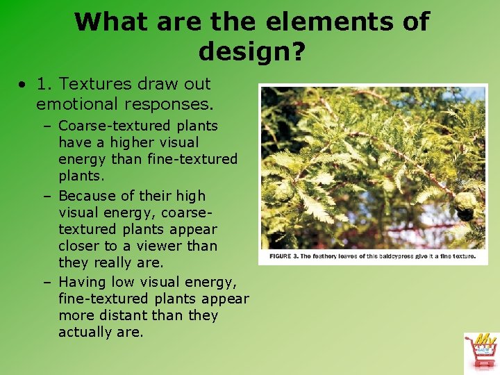 What are the elements of design? • 1. Textures draw out emotional responses. –