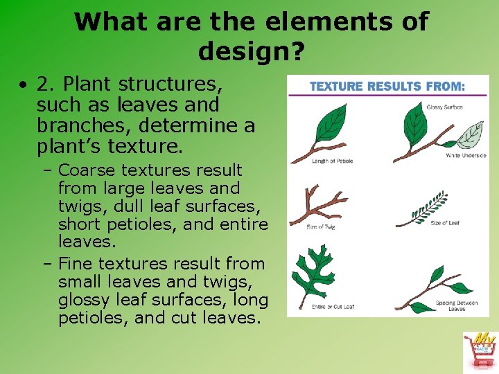What are the elements of design? • 2. Plant structures, such as leaves and