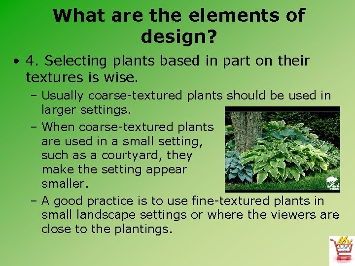 What are the elements of design? • 4. Selecting plants based in part on