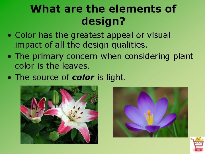 What are the elements of design? • Color has the greatest appeal or visual