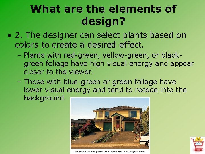 What are the elements of design? • 2. The designer can select plants based