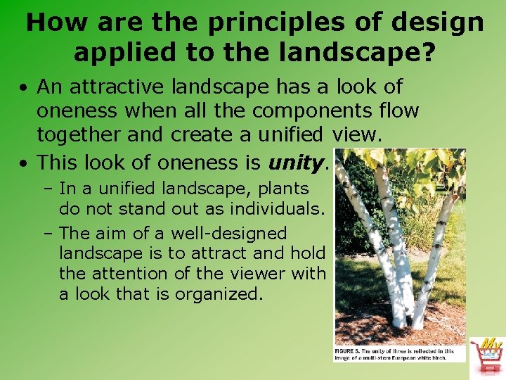 How are the principles of design applied to the landscape? • An attractive landscape