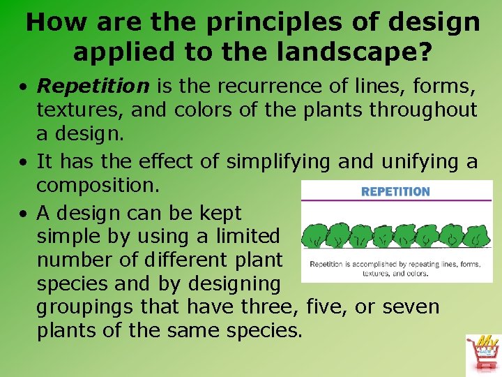 How are the principles of design applied to the landscape? • Repetition is the