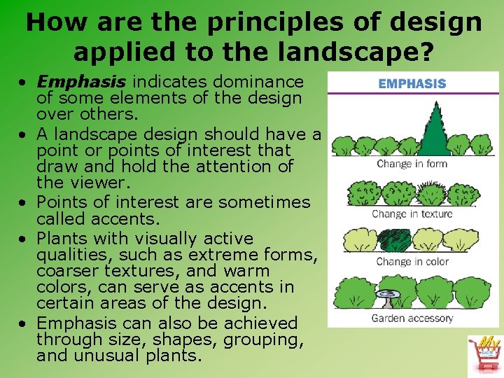 How are the principles of design applied to the landscape? • Emphasis indicates dominance