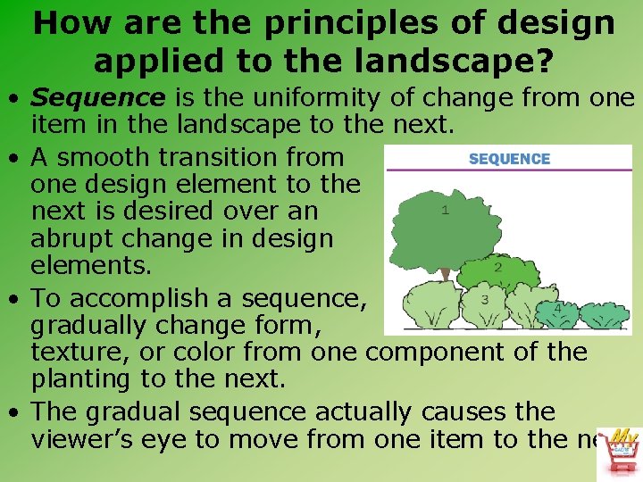 How are the principles of design applied to the landscape? • Sequence is the