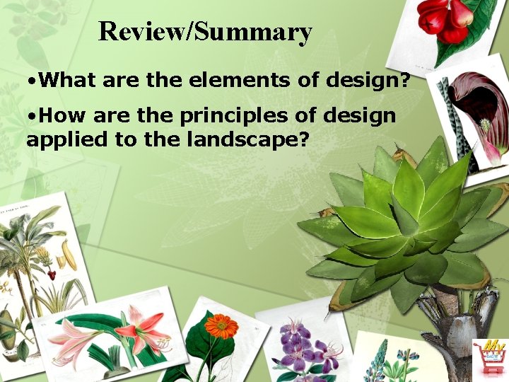 Review/Summary • What are the elements of design? • How are the principles of