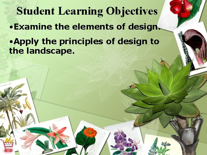 Student Learning Objectives • Examine the elements of design. • Apply the principles of