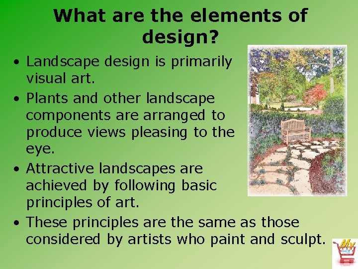 What are the elements of design? • Landscape design is primarily a visual art.