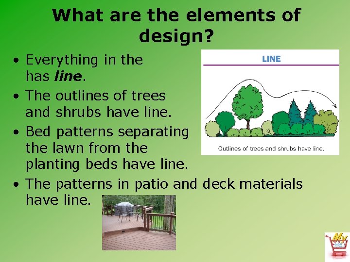 What are the elements of design? • Everything in the landscape has line. •