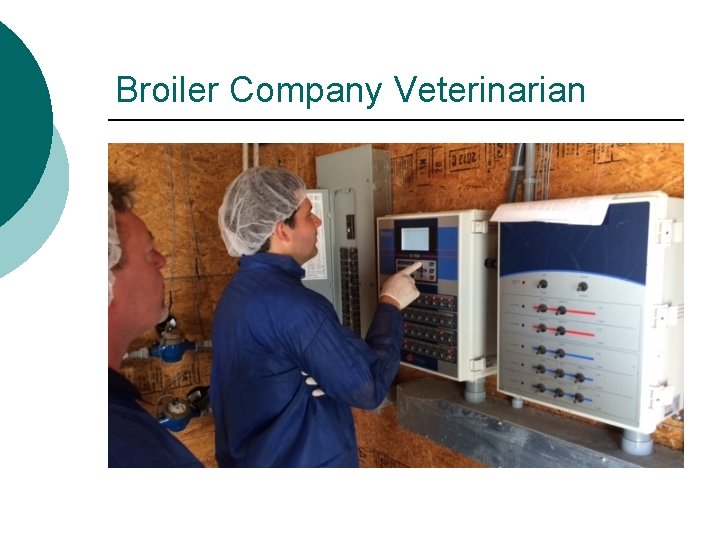 Broiler Company Veterinarian 