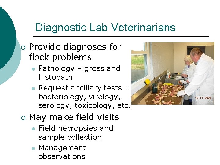 Diagnostic Lab Veterinarians ¡ Provide diagnoses for flock problems l l ¡ Pathology –