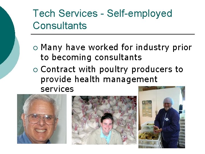 Tech Services - Self-employed Consultants Many have worked for industry prior to becoming consultants