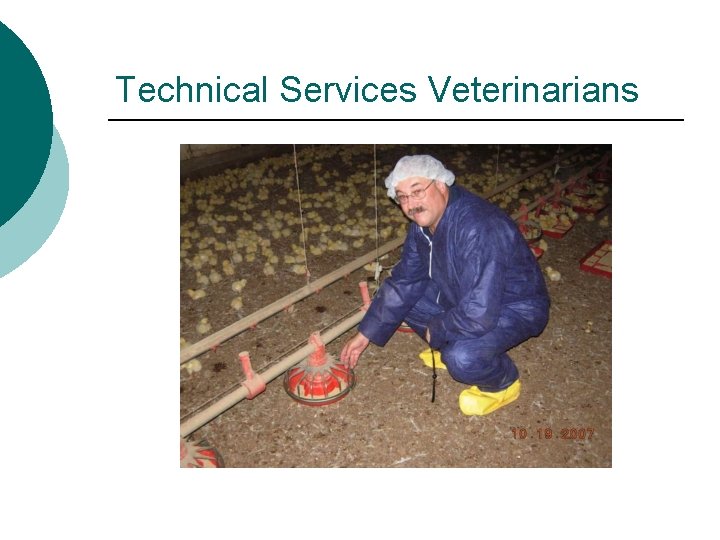 Technical Services Veterinarians 
