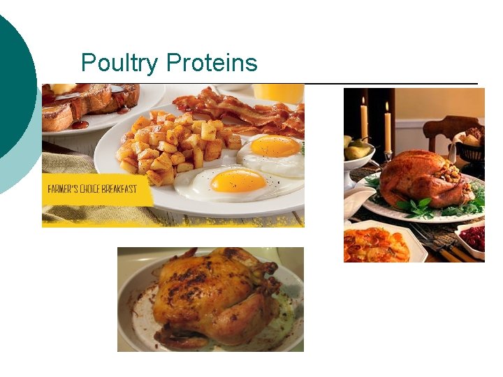 Poultry Proteins 