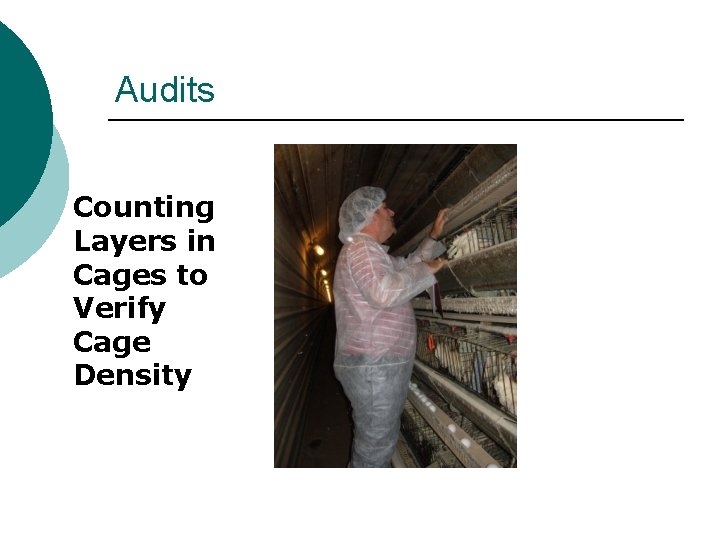 Audits Counting Layers in Cages to Verify Cage Density 